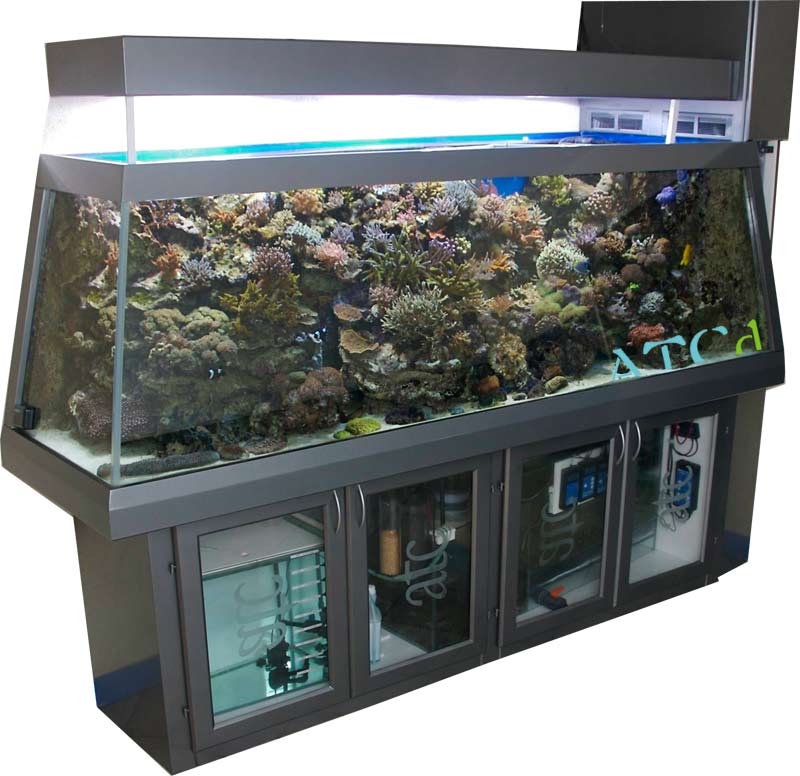 Ici un magnifique aquarium ATC.
